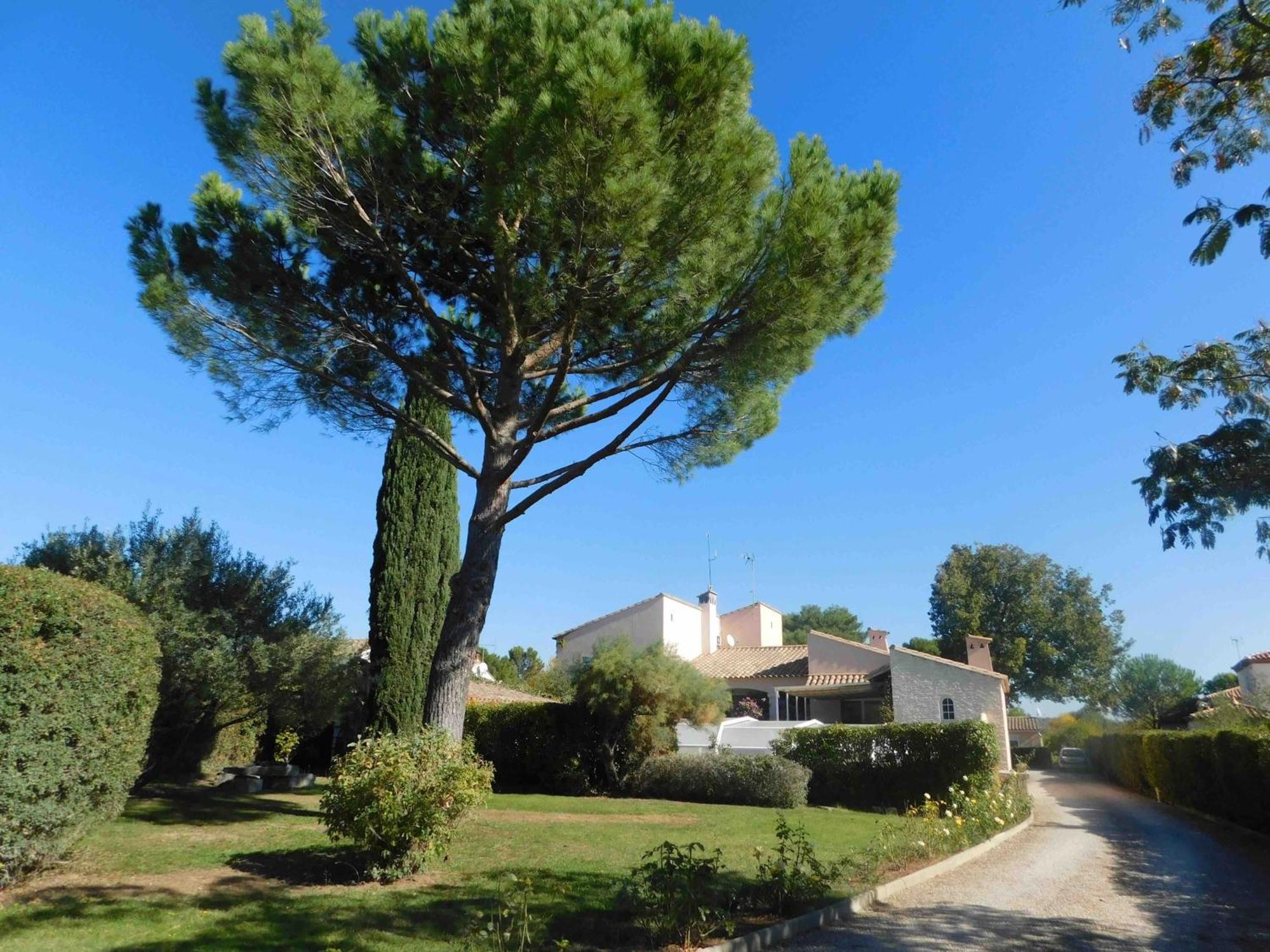 Les Bougainvillees De Camargue Villetelle Esterno foto