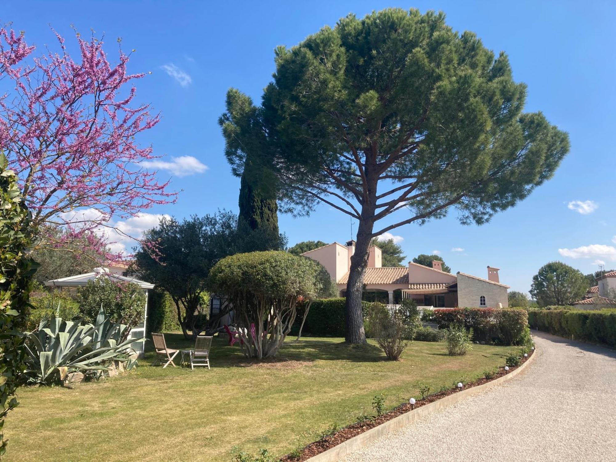 Les Bougainvillees De Camargue Villetelle Esterno foto